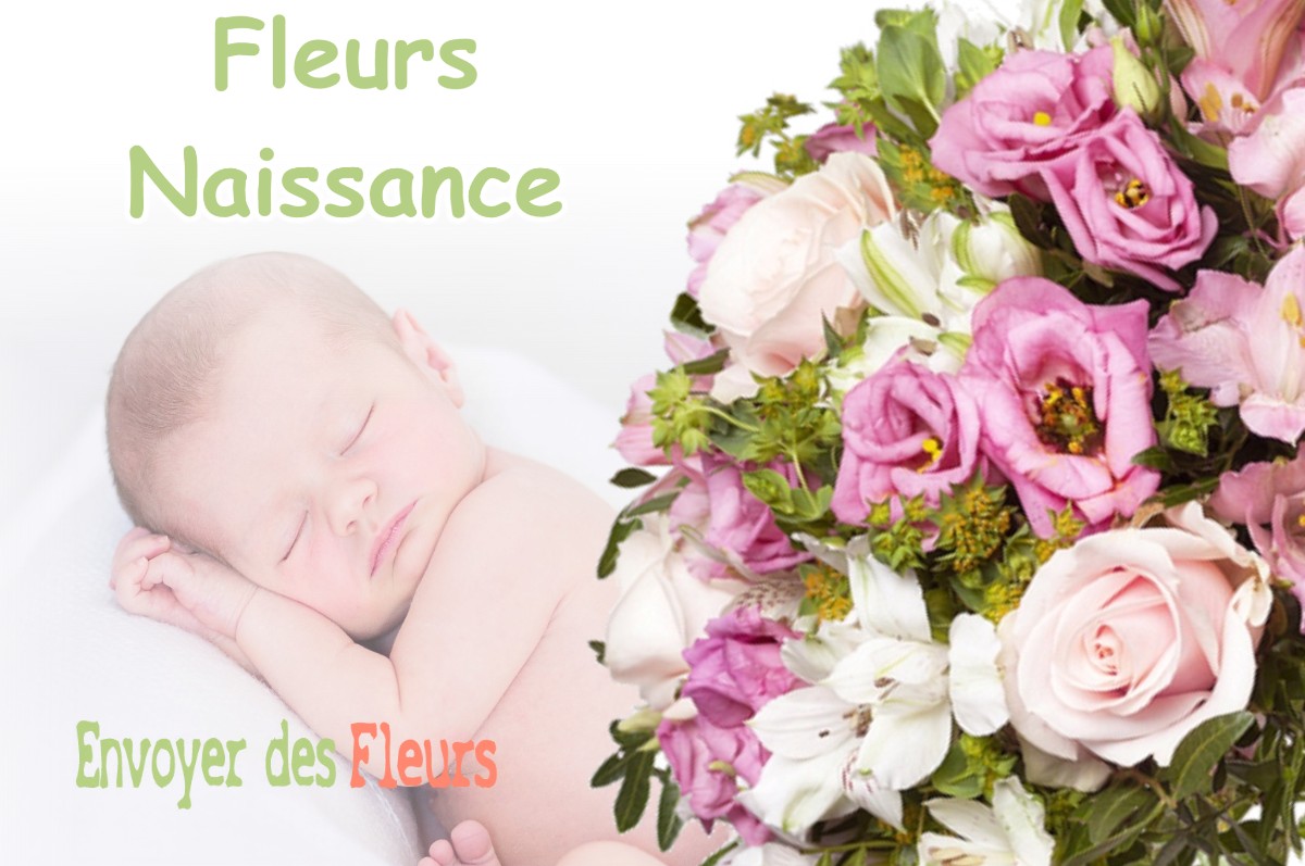 lIVRAISON FLEURS NAISSANCE à EGRY